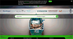 Desktop Screenshot of glowimages.com.br